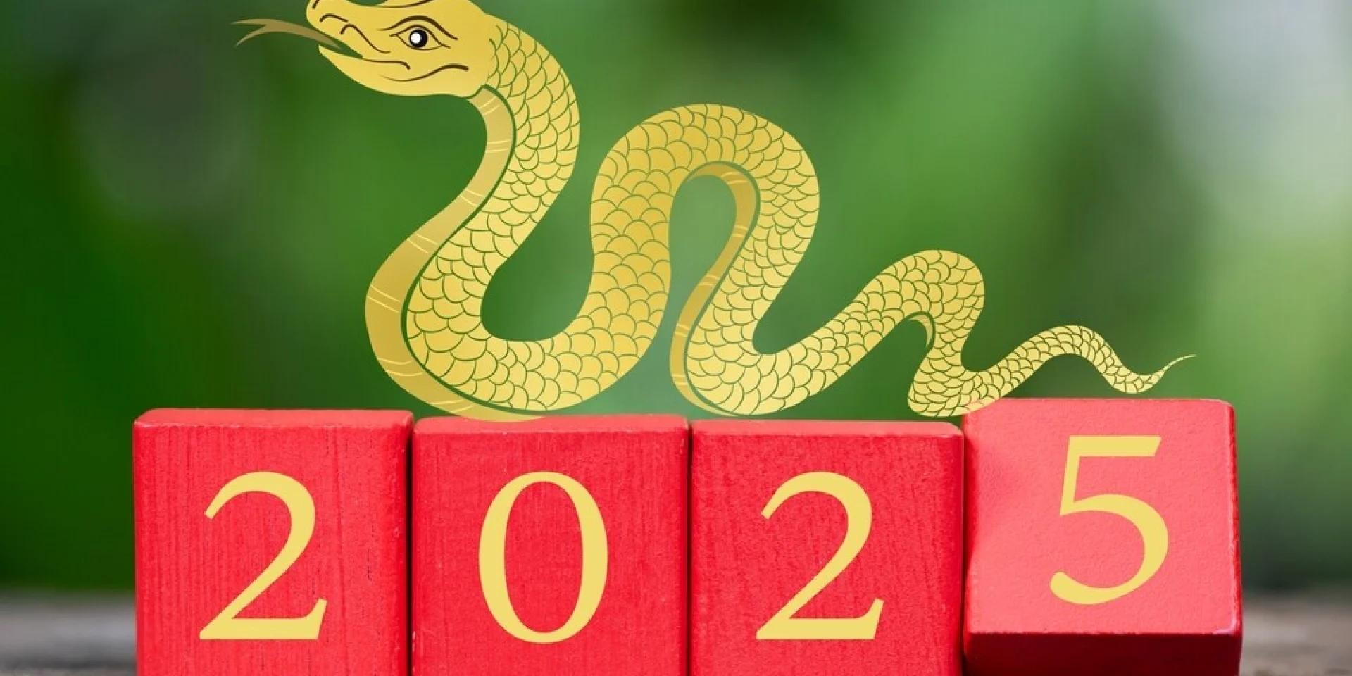 ראש השנה הסיני 2025 שנת הנחש