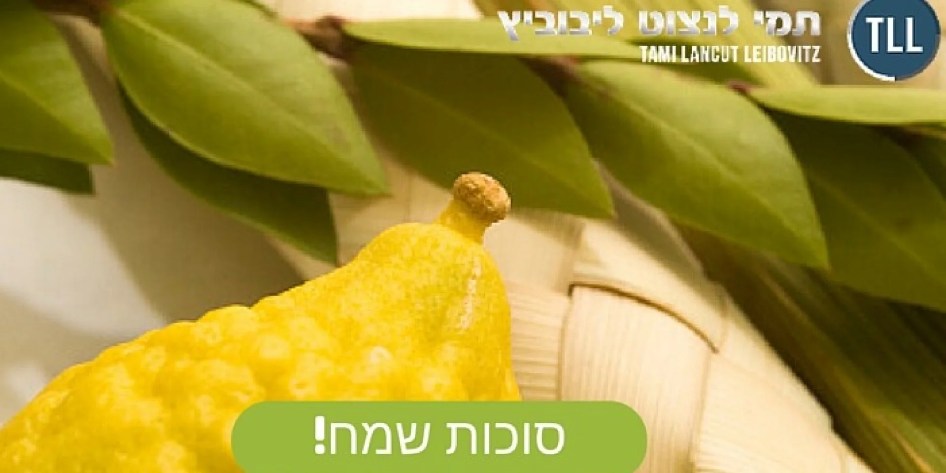 Sukkot Etiquette Guide